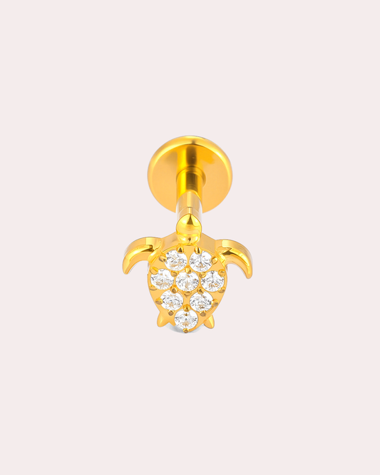 Piercing Tortuga